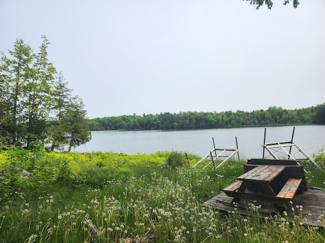 75 Snow Goose Ln, Dexter, ME 04930 - dock with a water view and a wooded view