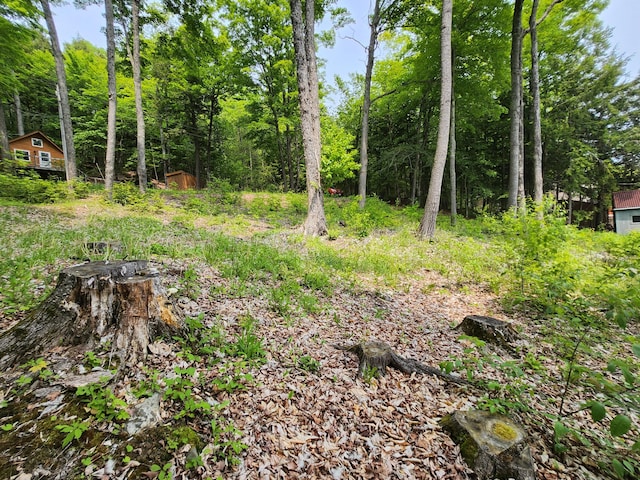 75 Snow Goose Ln, Dexter, ME 04930 - view of local wilderness