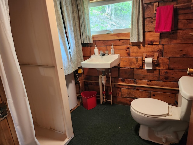 75 Snow Goose Ln, Dexter, ME 04930 - bathroom featuring toilet, wooden walls, and a sink