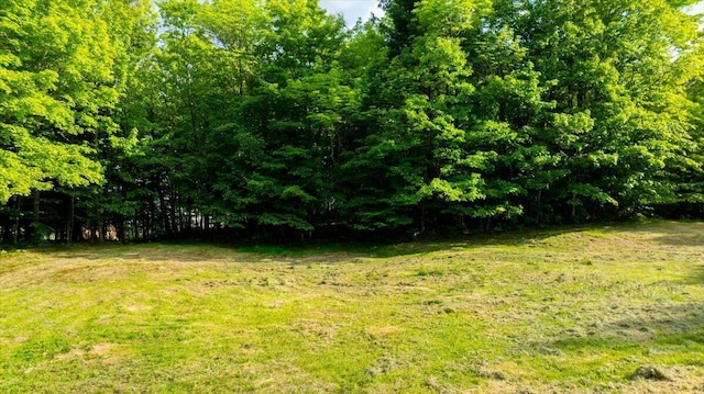 473 Davenport Hill Rd, Jay, ME 04239 - view of grassy yard
