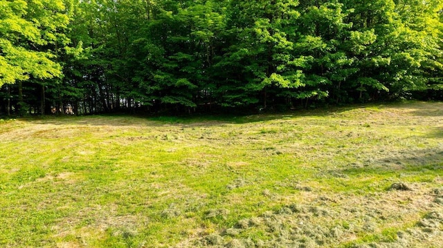 473 Davenport Hill Rd, Jay, ME 04239 - view of grassy yard