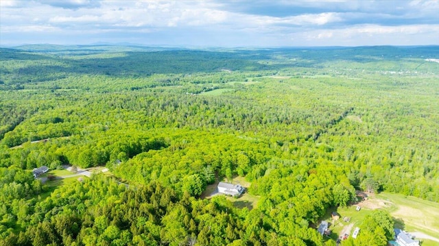 473 Davenport Hill Rd, Jay, ME 04239 - drone / aerial view of a forest