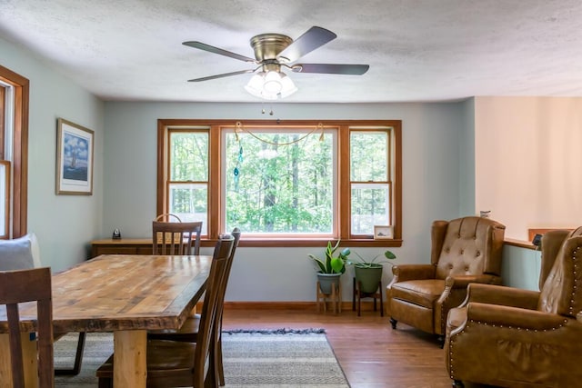 1007 Old Stage Rd, Woolwich, ME 04579 - dining space with wood finished floors, plenty of natural light, a ceiling fan, baseboards, and a textured ceiling