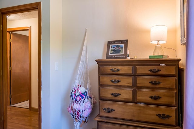 1007 Old Stage Rd, Woolwich, ME 04579 - detailed view of wood finished floors