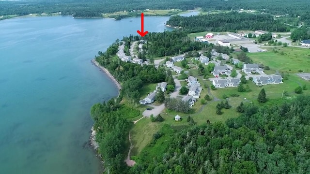 27 Misty Harbor Ln Unit 210, Cutler, ME 04626 - view of property location featuring a nearby body of water and a forest