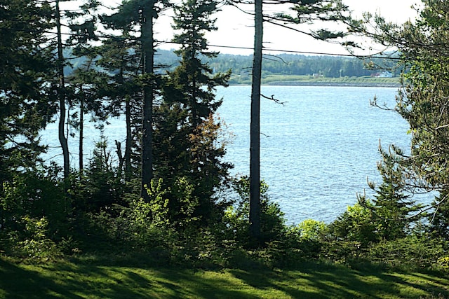 27 Misty Harbor Ln Unit 210, Cutler, ME 04626 - water view with a forest