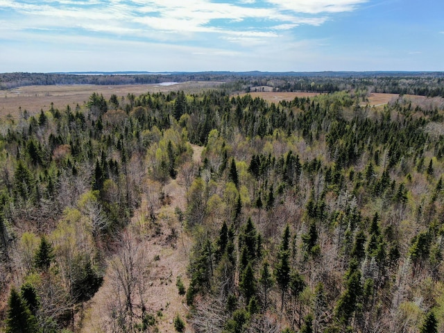 M2L3-M6L16 Campbell Rd, Whiting, ME 04691 - aerial view of property and surrounding area