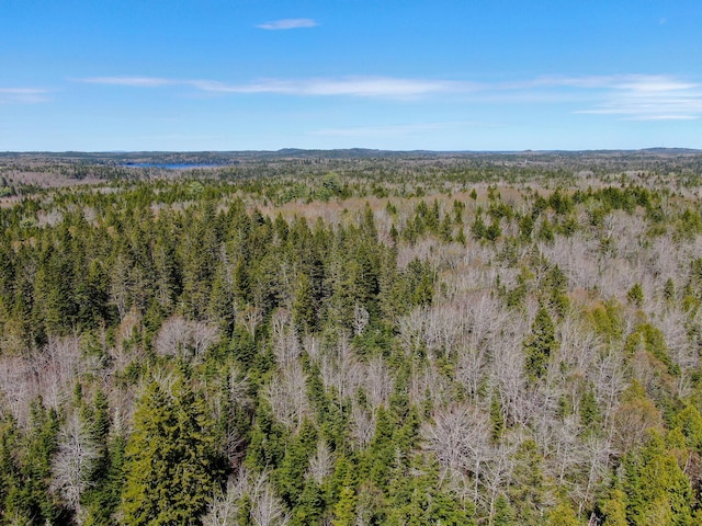 M2L3-M6L16 Campbell Rd, Whiting, ME 04691 - drone / aerial view of a heavily wooded area