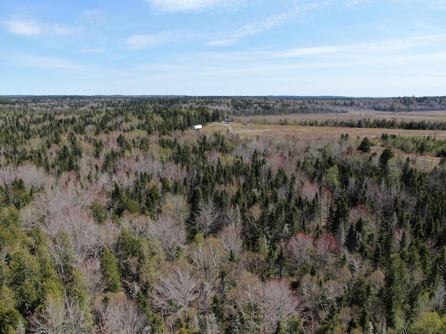 M2L3-M6L16 Campbell Rd, Whiting, ME 04691 - view of property location with a forest