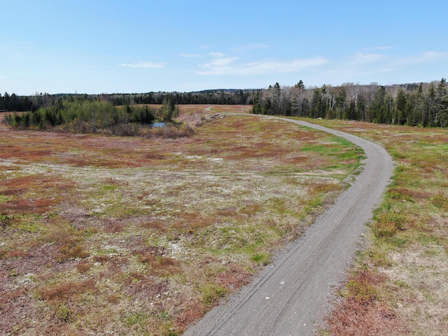 M2L3-M6L16 Campbell Rd, Whiting, ME 04691 - view of road with a view of rural / pastoral area and a wooded view