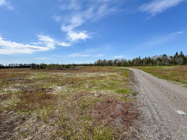 M2L3-M6L16 Campbell Rd, Whiting, ME 04691 - view of road featuring a rural view