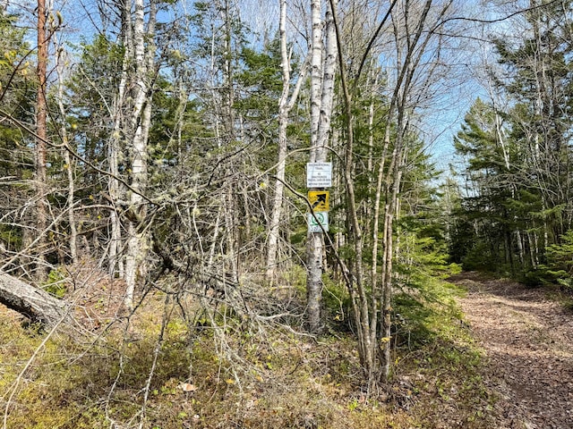 M2L3-M6L16 Campbell Rd, Whiting, ME 04691 - view of undeveloped land
