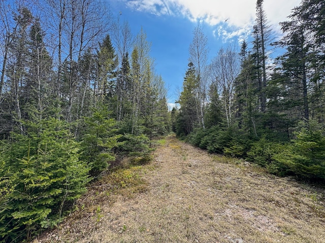 M2L3-M6L16 Campbell Rd, Whiting, ME 04691 - view of wooded area