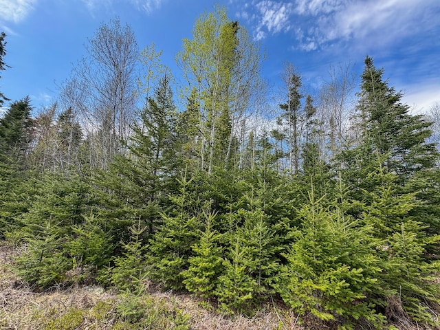 M2L3-M6L16 Campbell Rd, Whiting, ME 04691 - view of nature