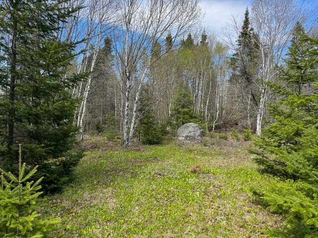 M2L3-M6L16 Campbell Rd, Whiting, ME 04691 - view of yard