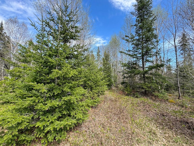 M2L3-M6L16 Campbell Rd, Whiting, ME 04691 - view of nature