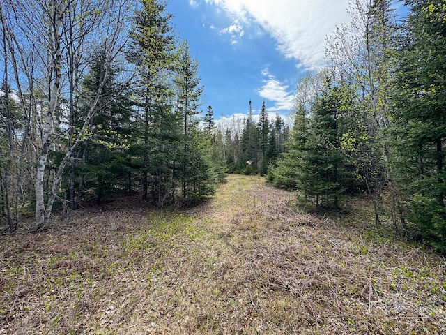 M2L3-M6L16 Campbell Rd, Whiting, ME 04691 - view of woods