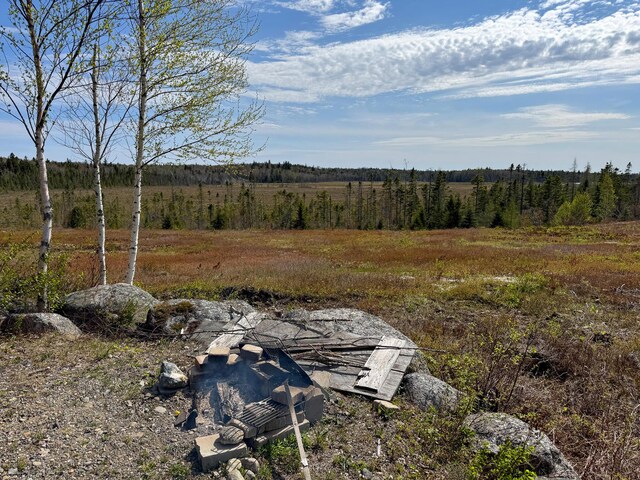 M2L3-M6L16 Campbell Rd, Whiting, ME 04691 - view of yard