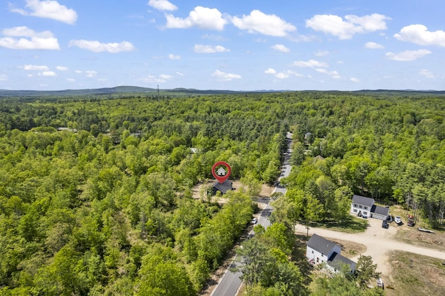 25 Sarah Vaughn Rd, Hollis, ME 04042 - drone / aerial view of a heavily wooded area
