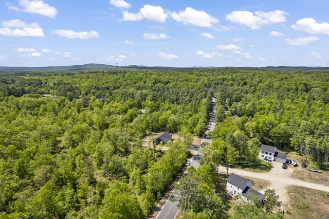 25 Sarah Vaughn Rd, Hollis, ME 04042 - aerial view of a heavily wooded area