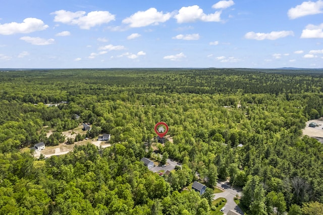 25 Sarah Vaughn Rd, Hollis, ME 04042 - drone / aerial view of a heavily wooded area