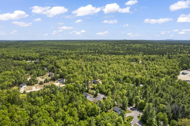 25 Sarah Vaughn Rd, Hollis, ME 04042 - bird's eye view of a forest
