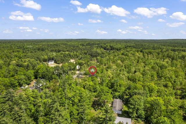 25 Sarah Vaughn Rd, Hollis, ME 04042 - drone / aerial view of a heavily wooded area