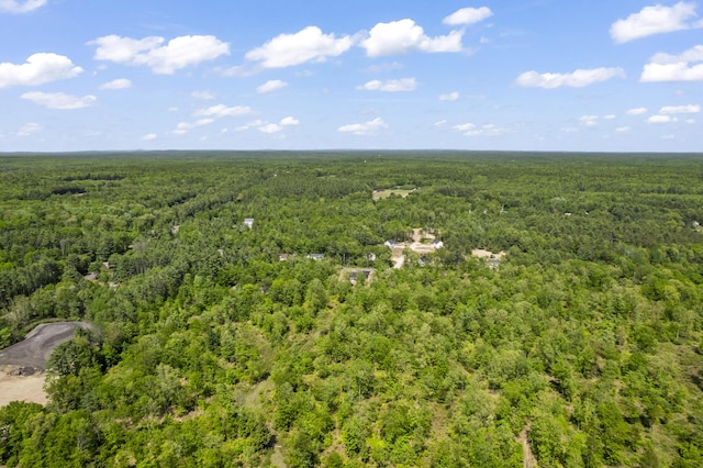 25 Sarah Vaughn Rd, Hollis, ME 04042 - drone / aerial view of a forest