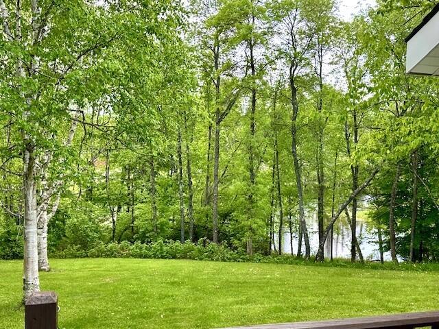 22 Long Falls Dam Rd, New Portland, ME 04961 - photo 21