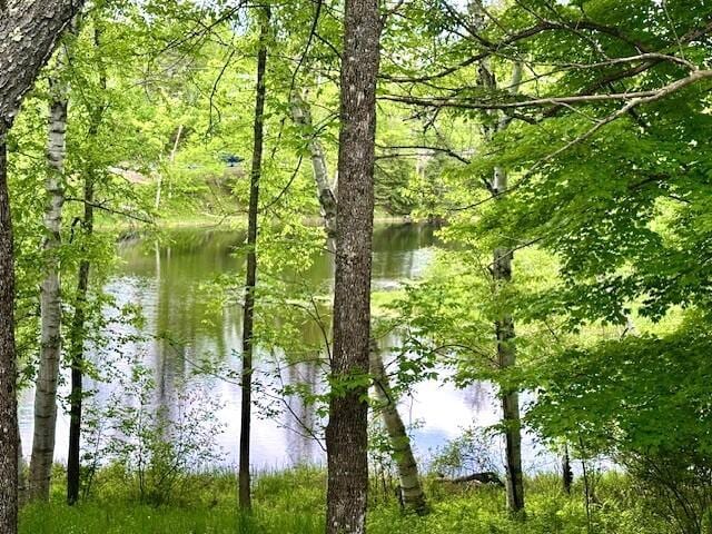 22 Long Falls Dam Rd, New Portland, ME 04961 - photo 11