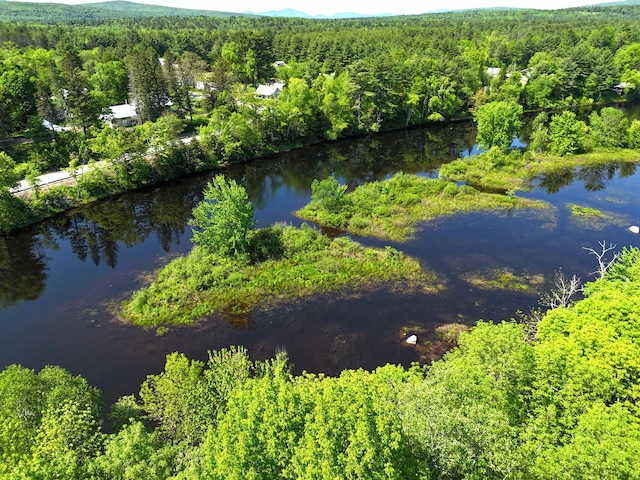 22 Long Falls Dam Rd, New Portland, ME 04961 - photo 2