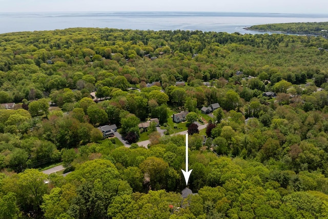 38 Darcy Rd, York, ME 03909 - bird's eye view of a heavily wooded area and a large body of water