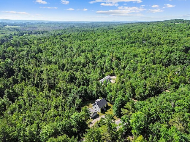 40 Guptill Rd, Belgrade, ME 04917 - bird's eye view of a forest