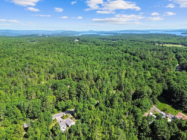 40 Guptill Rd, Belgrade, ME 04917 - bird's eye view of a heavily wooded area