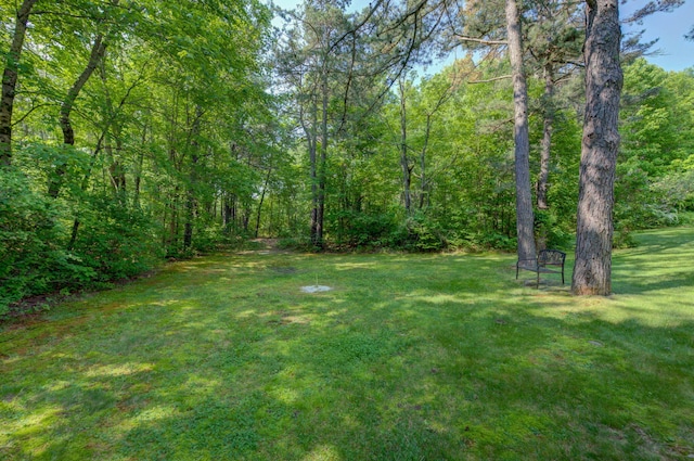 65 Blueberry Ln, Gray, ME 04039 - photo 15