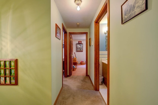 65 Blueberry Ln, Gray, ME 04039 - photo 32