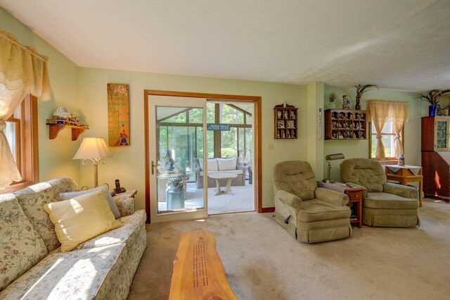 65 Blueberry Ln, Gray, ME 04039 - photo 45