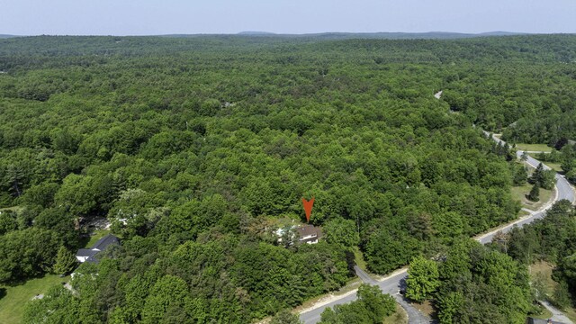 65 Blueberry Ln, Gray, ME 04039 - photo 46