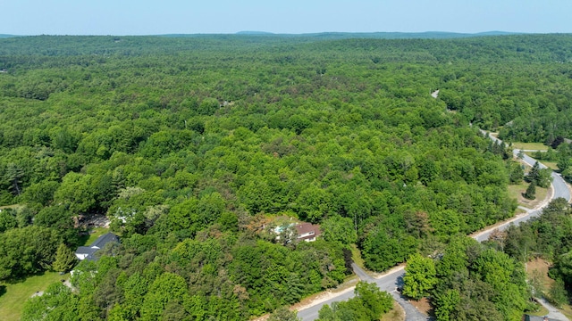 65 Blueberry Ln, Gray, ME 04039 - photo 47