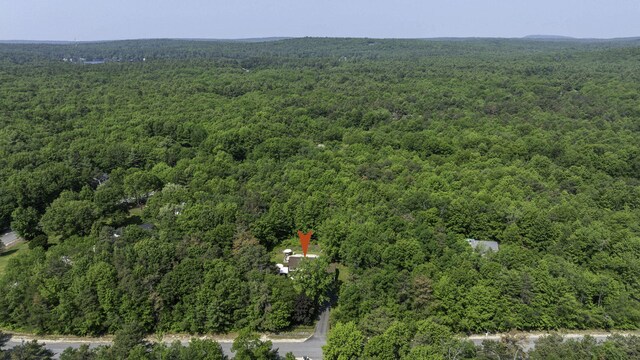 65 Blueberry Ln, Gray, ME 04039 - photo 48