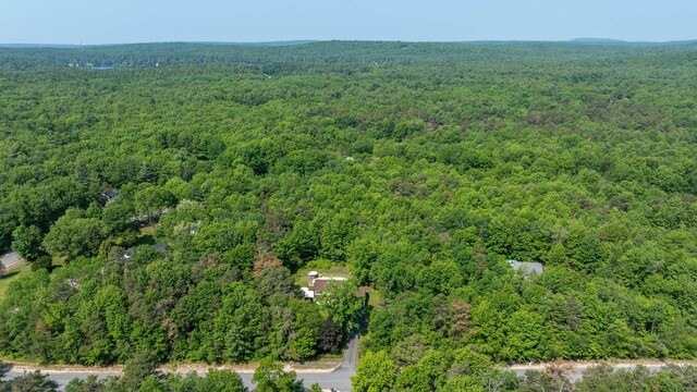 65 Blueberry Ln, Gray, ME 04039 - photo 49