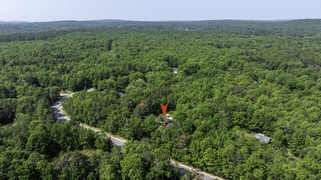65 Blueberry Ln, Gray, ME 04039 - photo 50