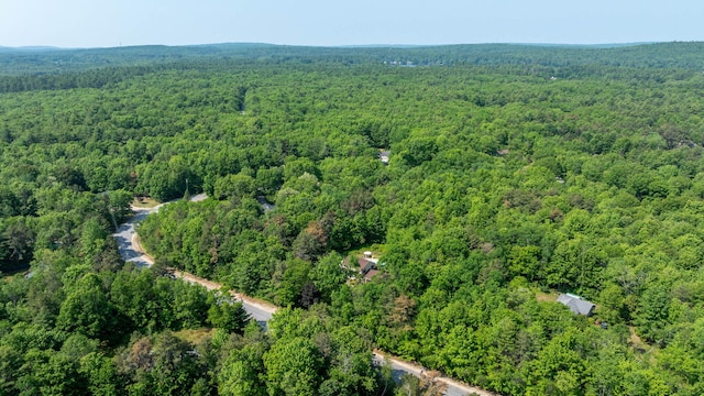 65 Blueberry Ln, Gray, ME 04039 - photo 51