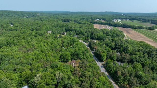 65 Blueberry Ln, Gray, ME 04039 - photo 57