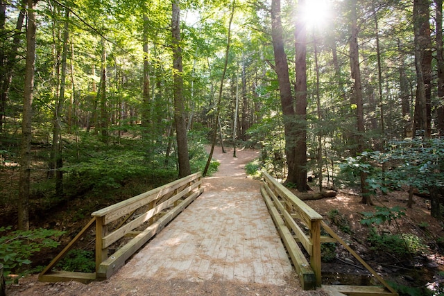 12 Neally St, South Berwick, ME 03908 - view of community featuring a forest view