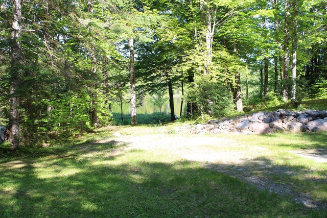 20 Blue Jay Dr, Embden, ME 04958 - view of green lawn