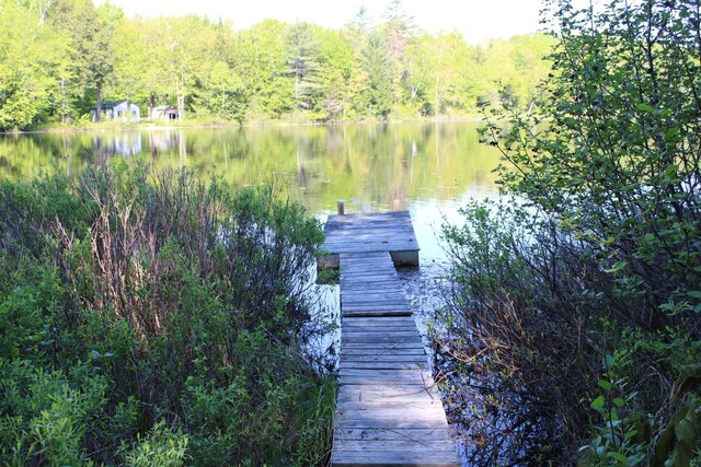 20 Blue Jay Dr, Embden, ME 04958 - dock featuring a water view and a view of trees