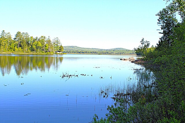 20 Blue Jay Dr, Embden, ME 04958 - water view featuring a forest