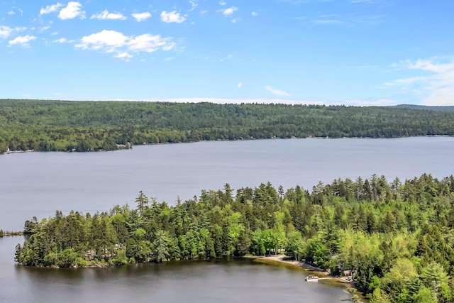 1125 Macomber Mill Rd, Eastbrook, ME 04634 - photo 34
