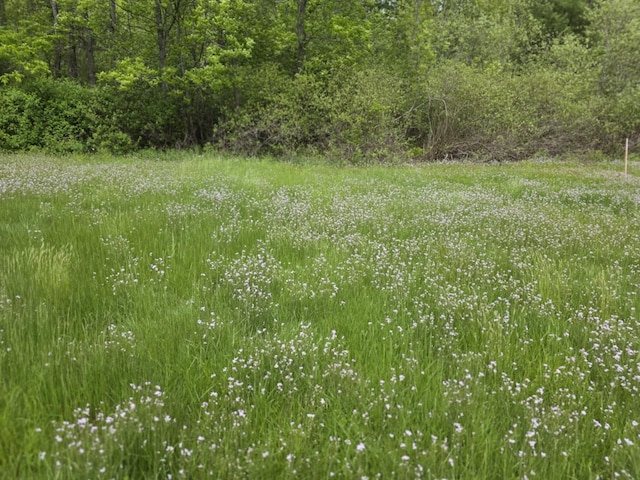 61 Gagnon Rd, Oakland, ME 04963 - view of local wilderness